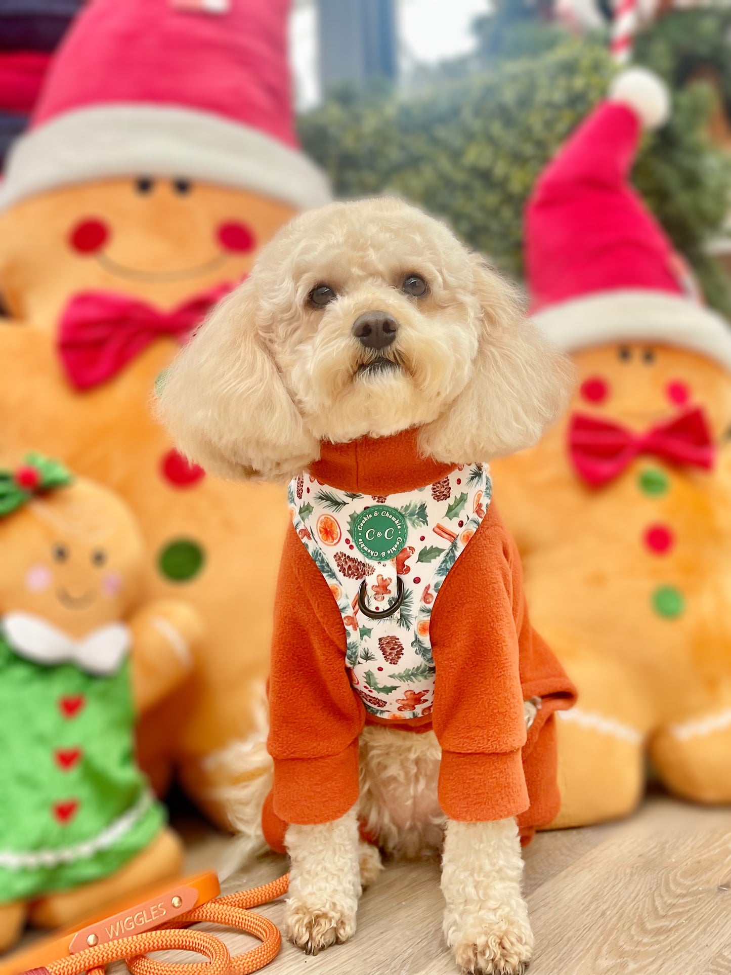 Adjustable Harness - 'Festive Pawpourri'