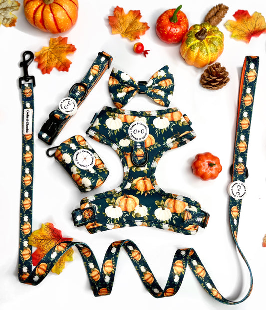 Poop Bag Holder – ‘My Little Pumpkin’