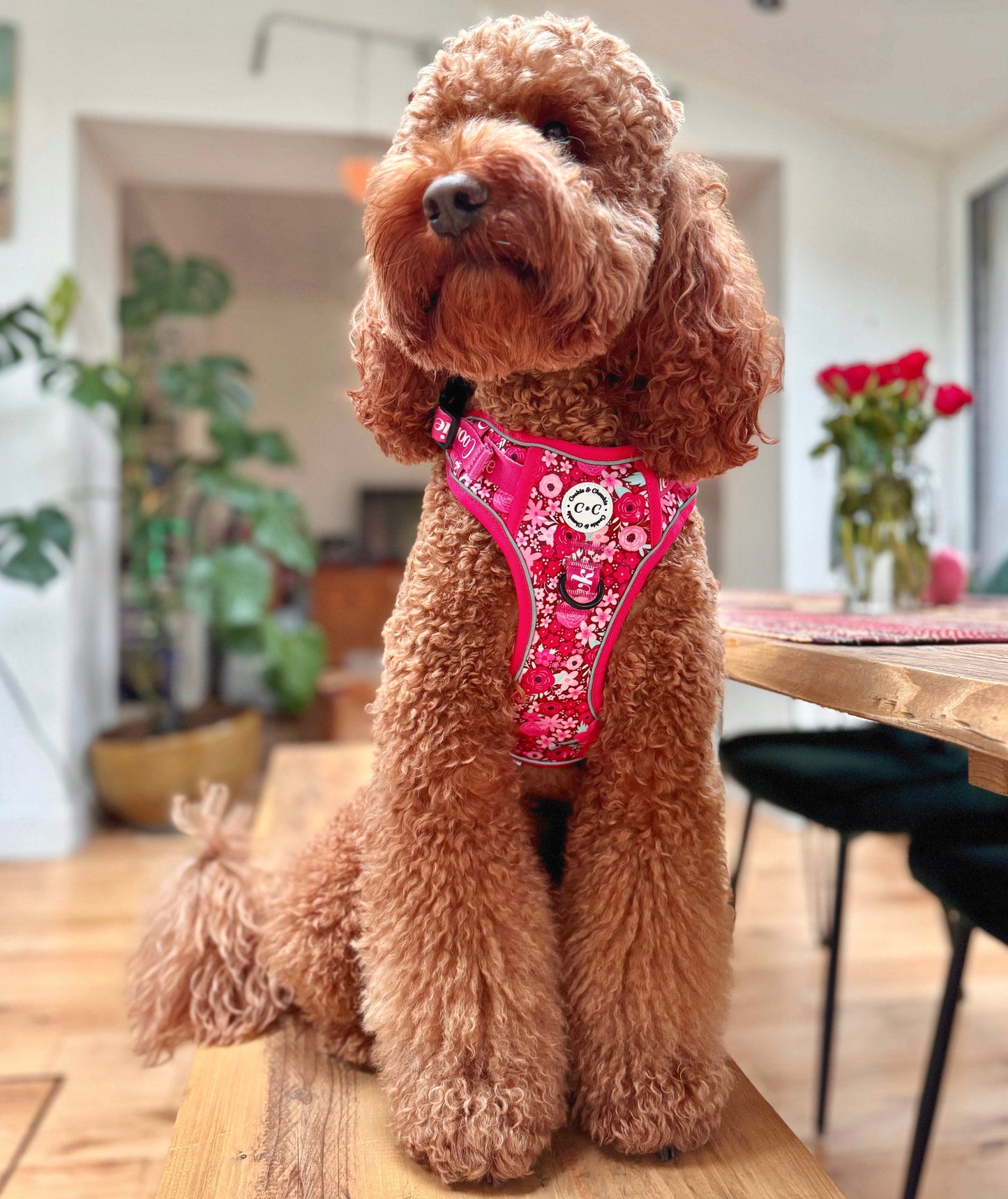 Adjustable TUFF Harness - 'On Chewsdays, We Wear Pink'
