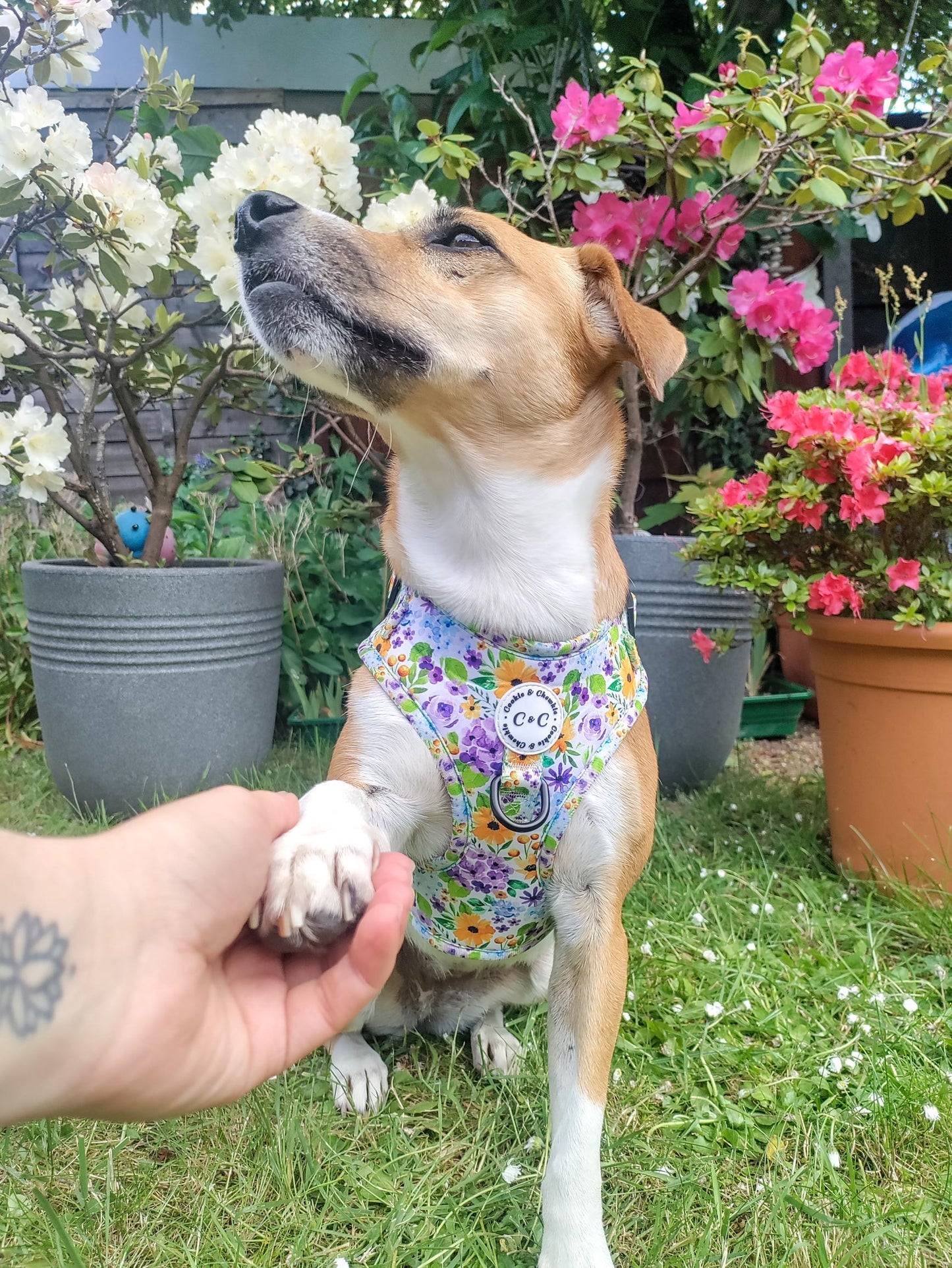 Adjustable harness - 'Once Upon A Flower'