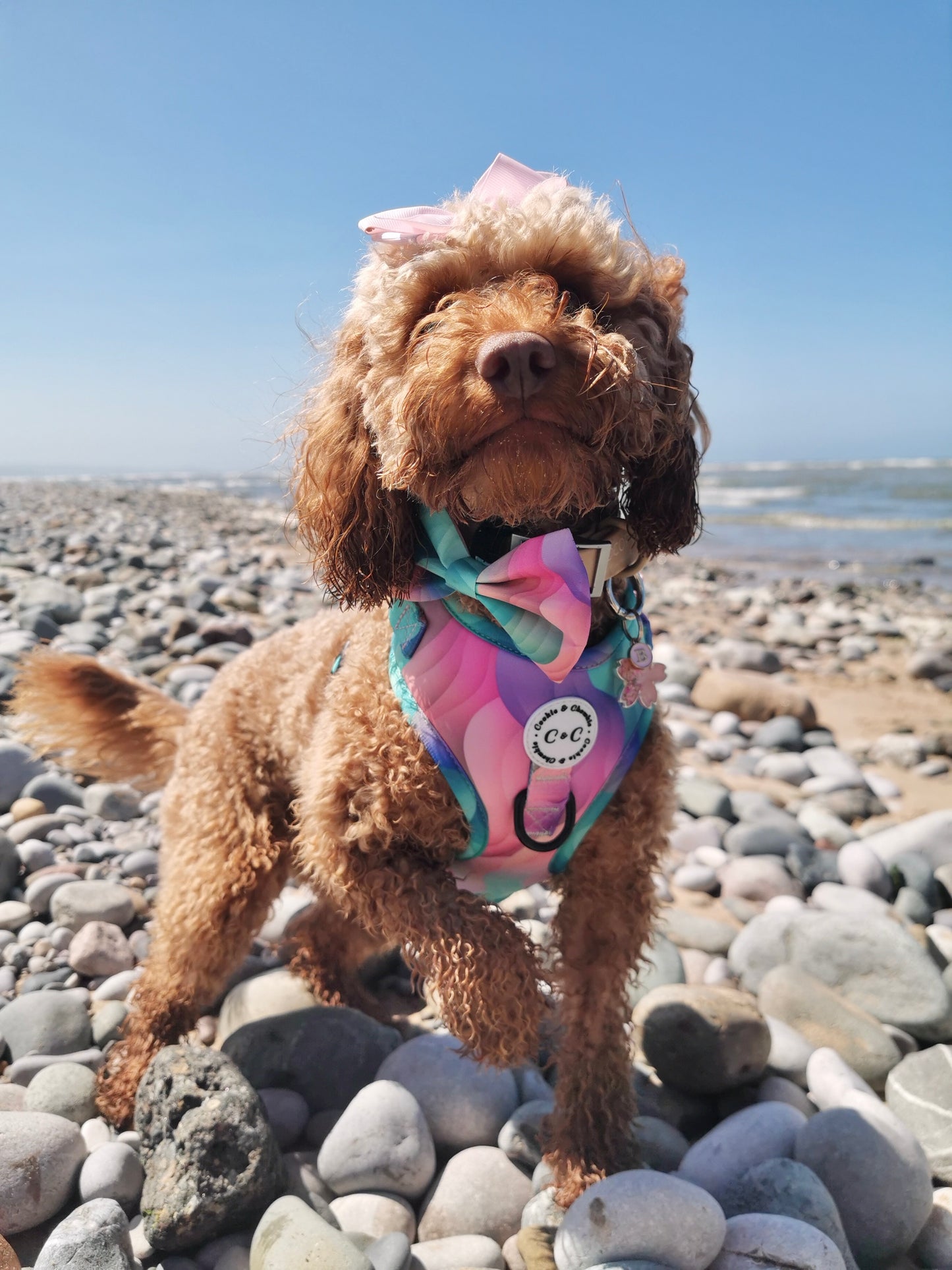 Bow Tie - 'Colours of the Wind'