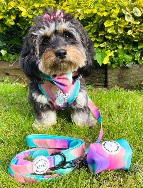 Poop Bag Holder – ‘Colours of the Wind’