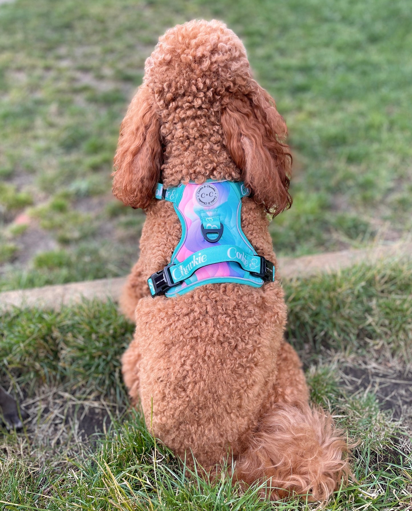 Adjustable TUFF Harness - 'Colours of the Wind'