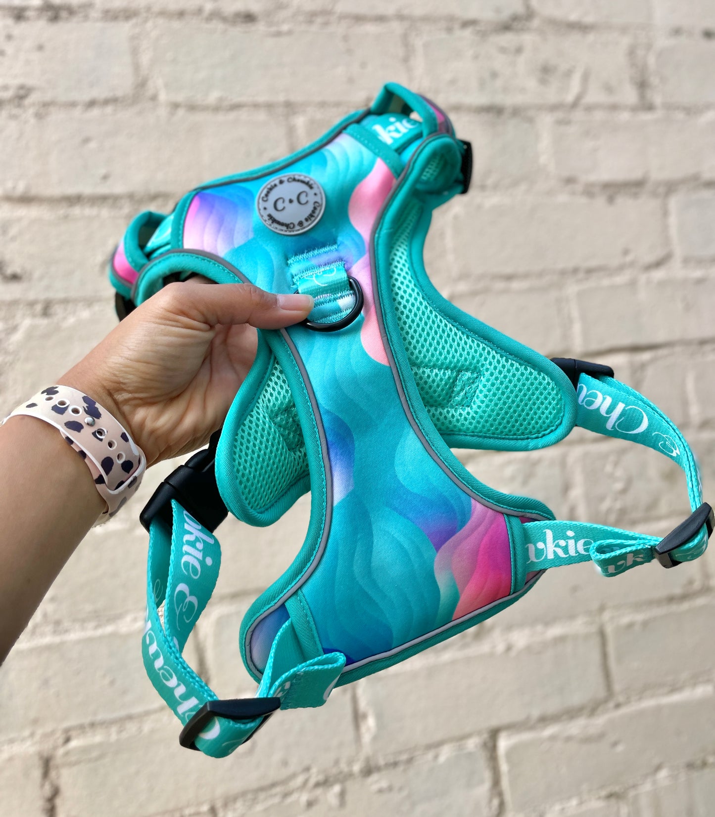 Adjustable TUFF Harness - 'Colours of the Wind'