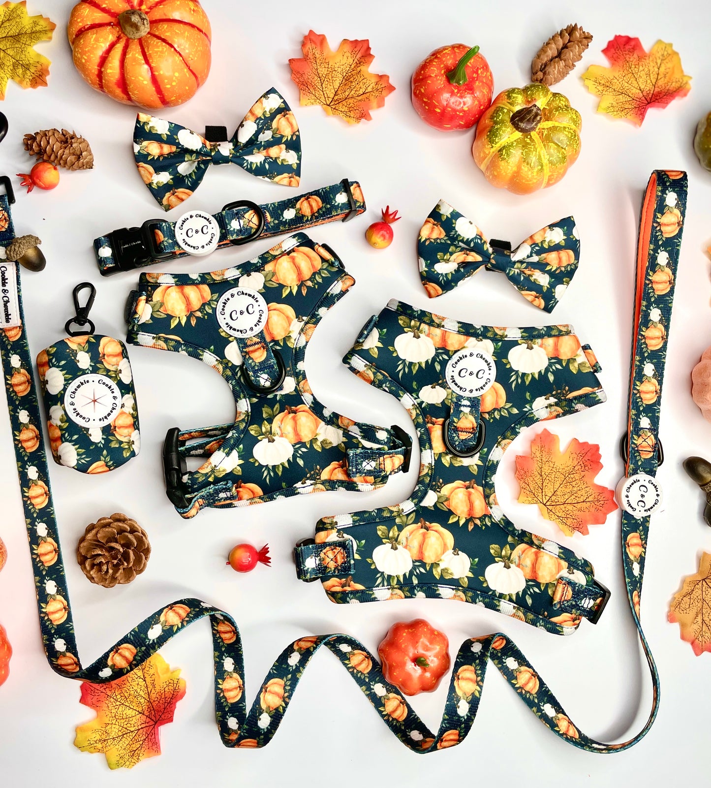Lead – ‘My Little Pumpkin’
