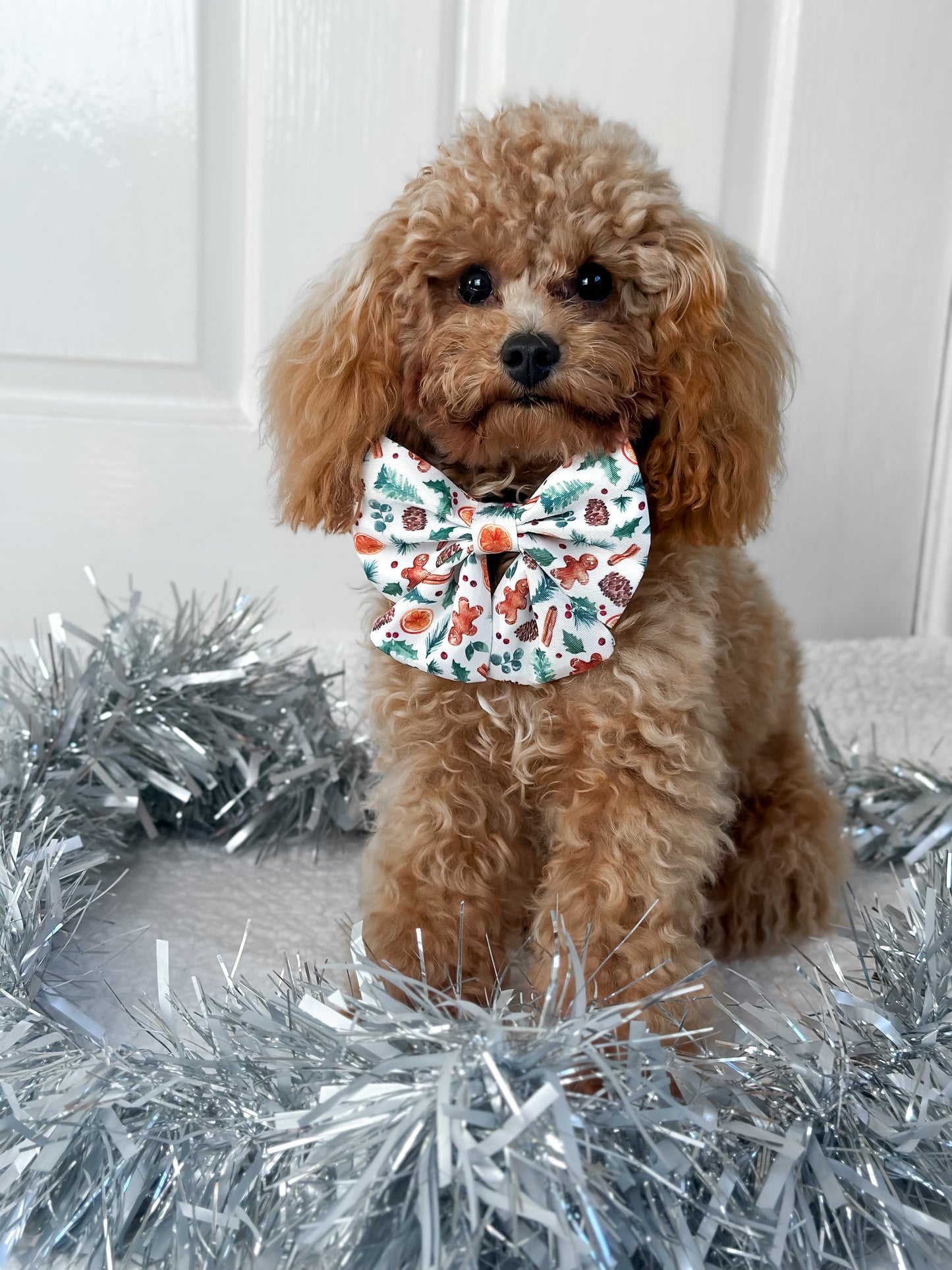 Sailor Bow - 'Festive Pawpourri'