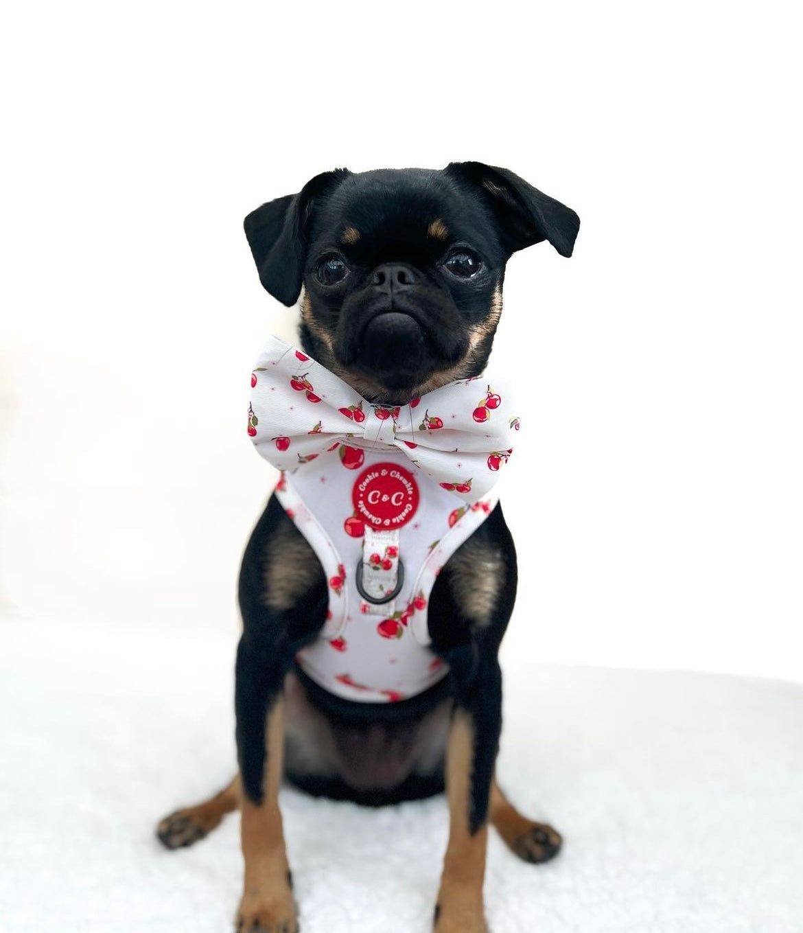 Adjustable Harness - 'Apple Pawtumn Jeans'