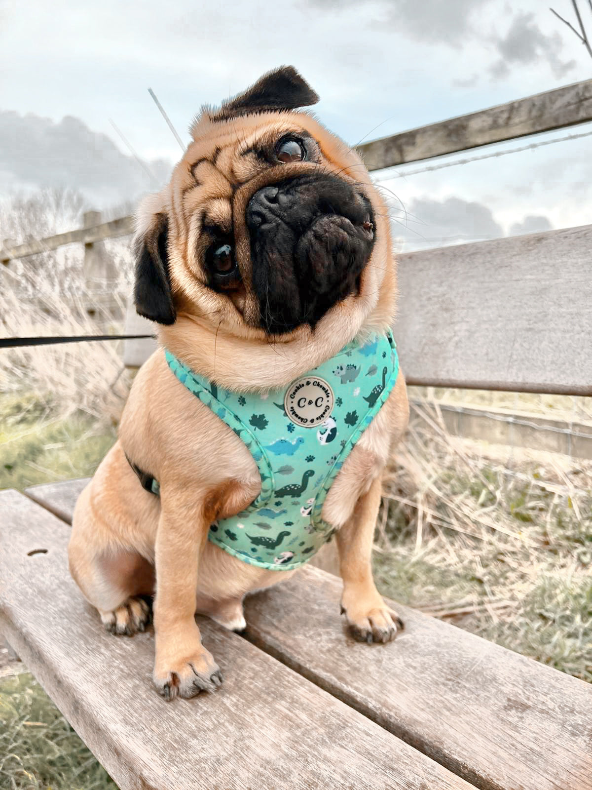 Adjustable Harness - 'Puppasaurus'