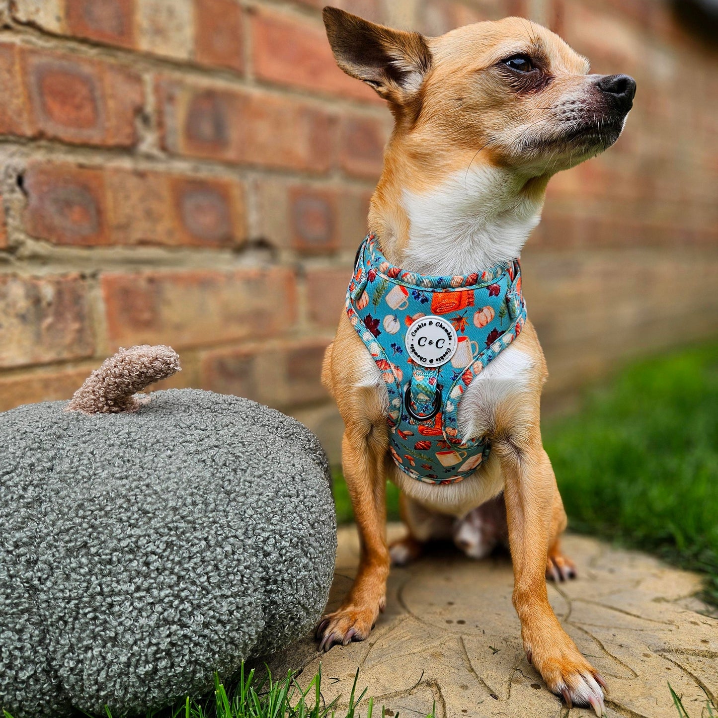 Adjustable Harness - 'Once Upon An Autumn'