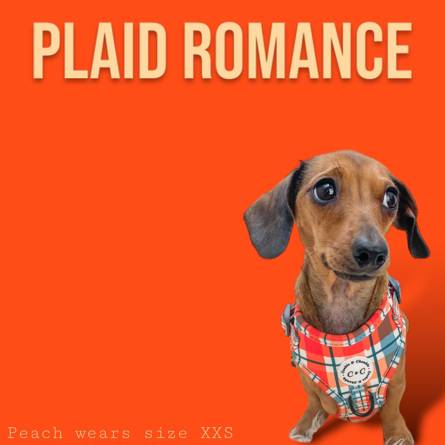 Adjustable Harness - 'Plaid Romance'