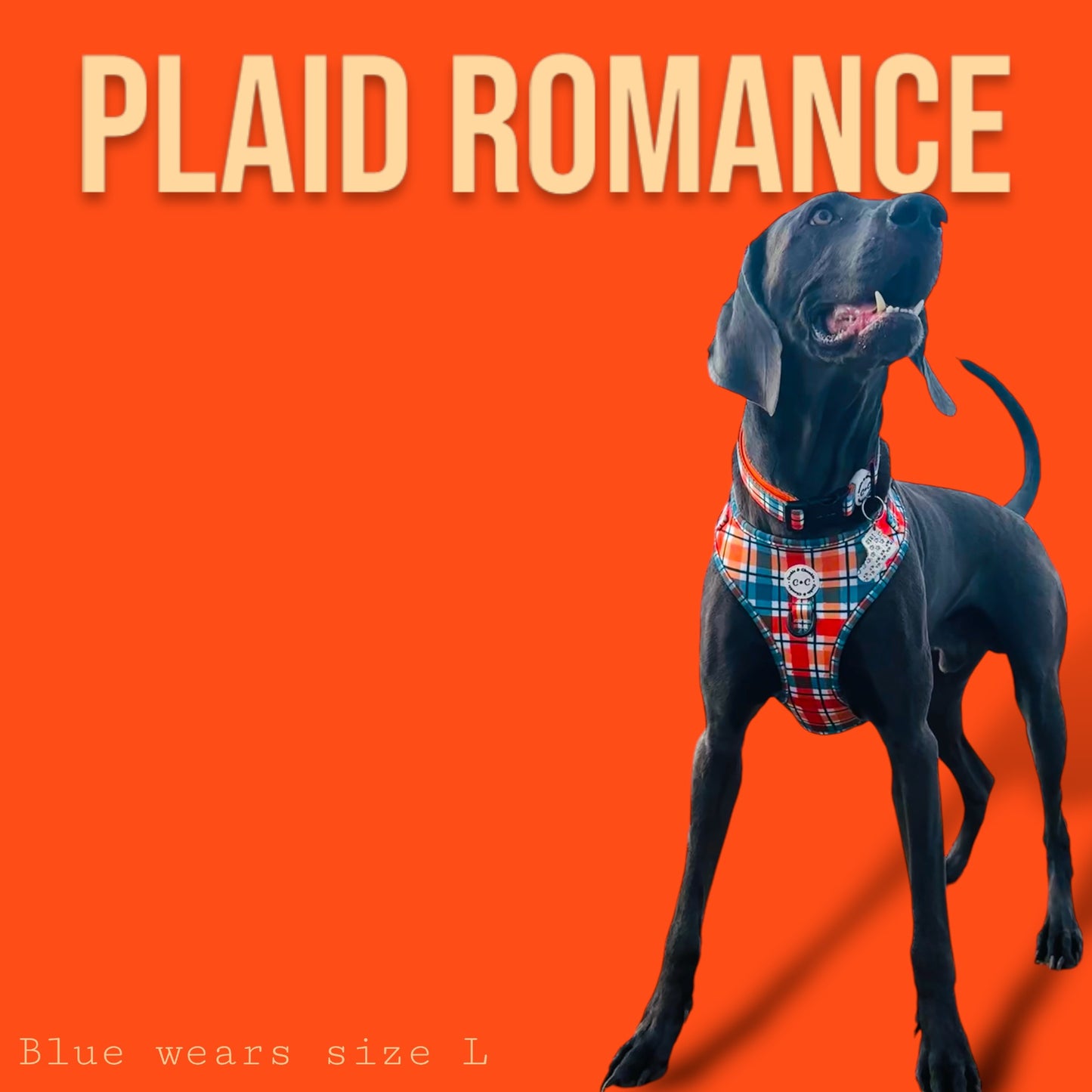 Adjustable Harness - 'Plaid Romance'