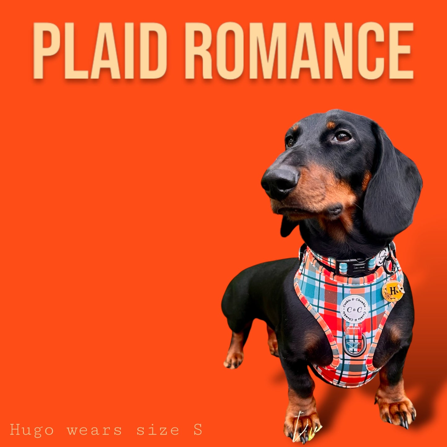 Adjustable Harness - 'Plaid Romance'