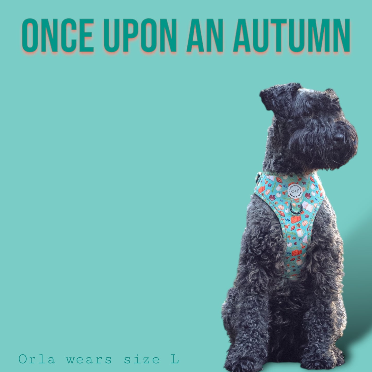 Adjustable Harness - 'Once Upon An Autumn'