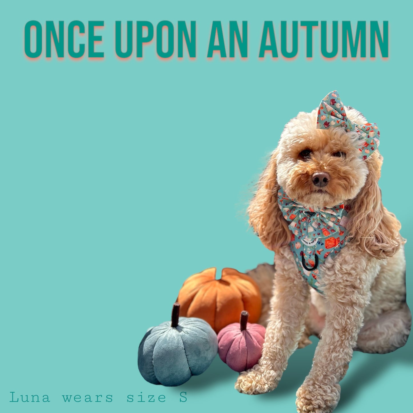 Adjustable Harness - 'Once Upon An Autumn'