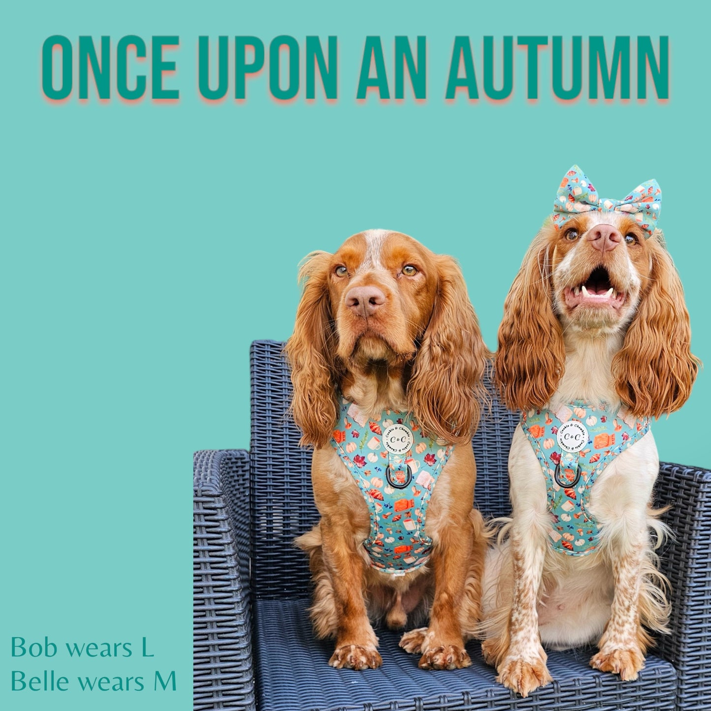 Adjustable Harness - 'Once Upon An Autumn'