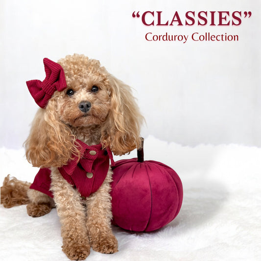 CLASSIES Corduroy Bow Tie - 'September'