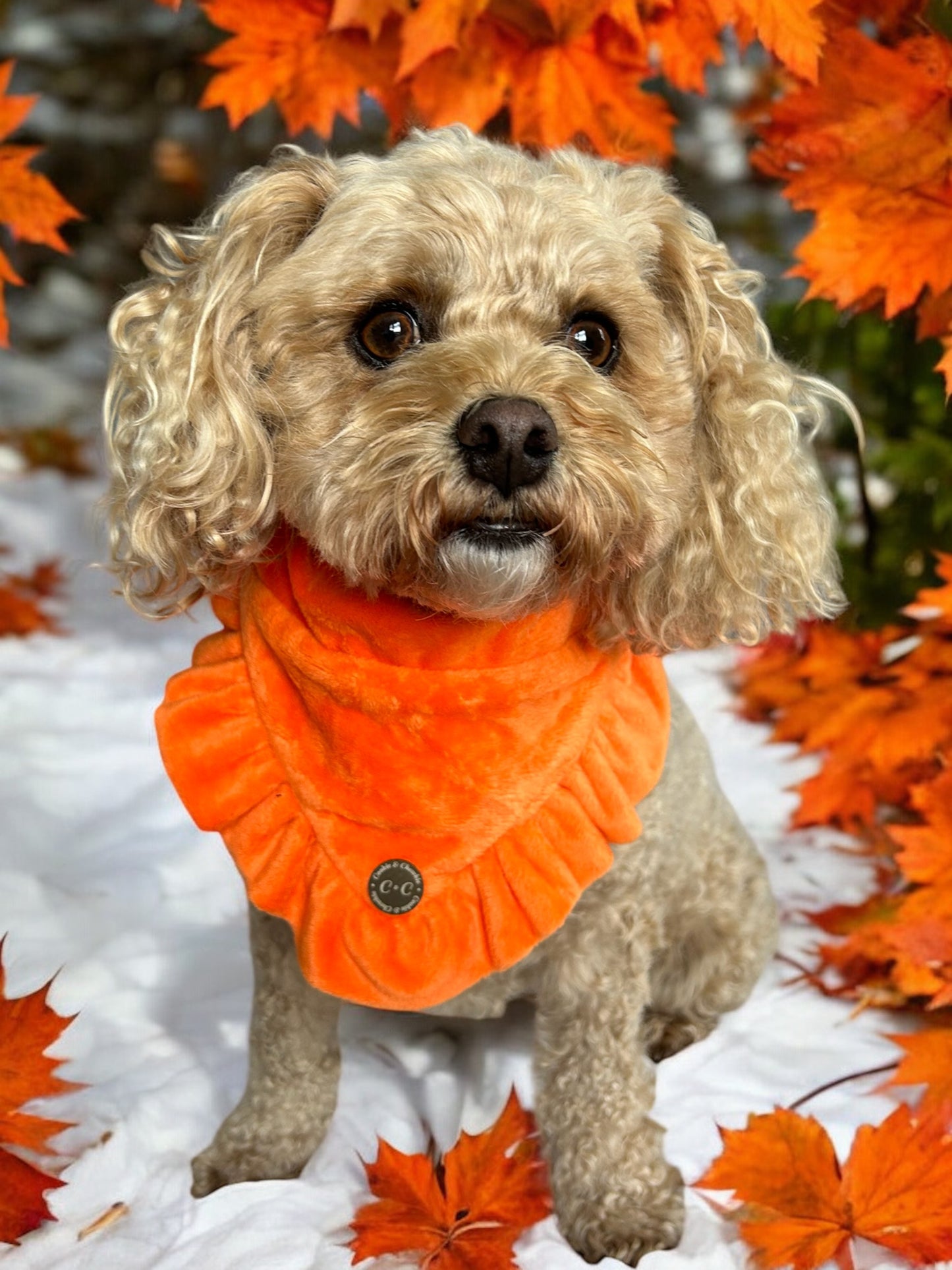 FLUFFIES Bandana - "Cindy"