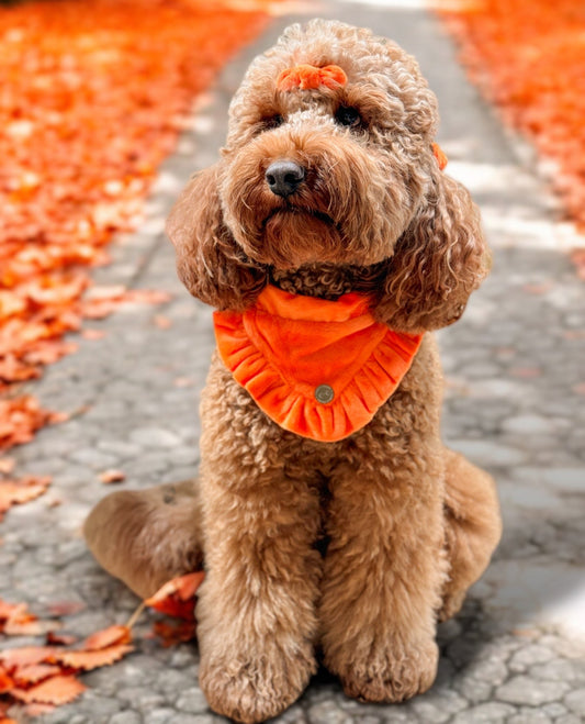 FLUFFIES Hair/Fur Bow - 'Cindy'