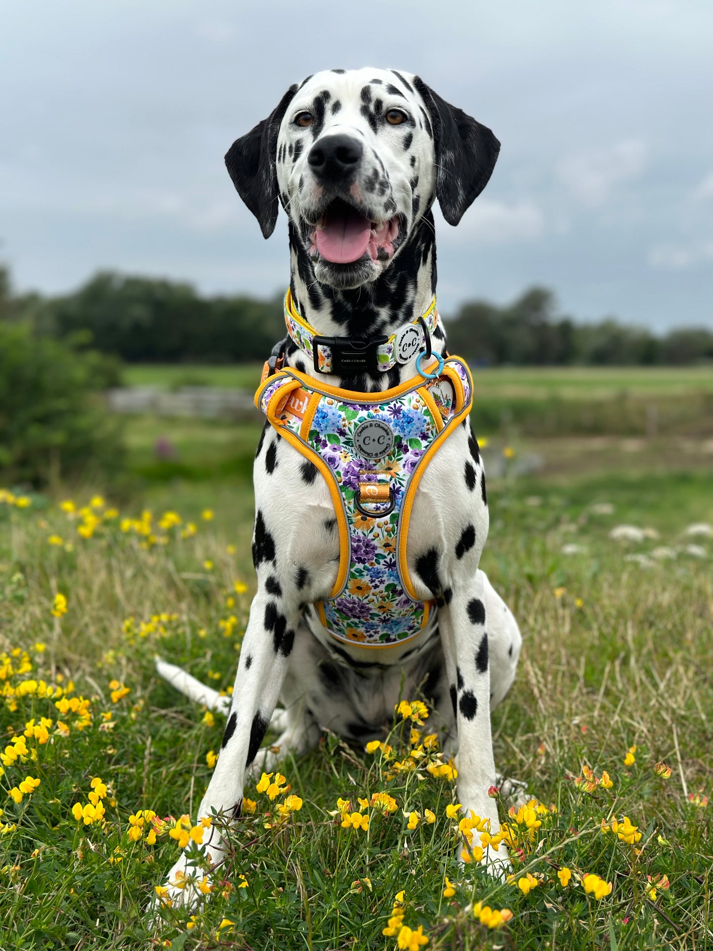Adjustable TUFF Harness - 'Once Upon A Flower'