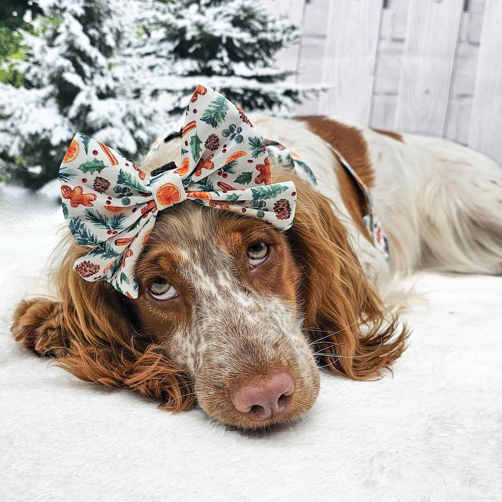 Sailor Bow - 'Festive Pawpourri'