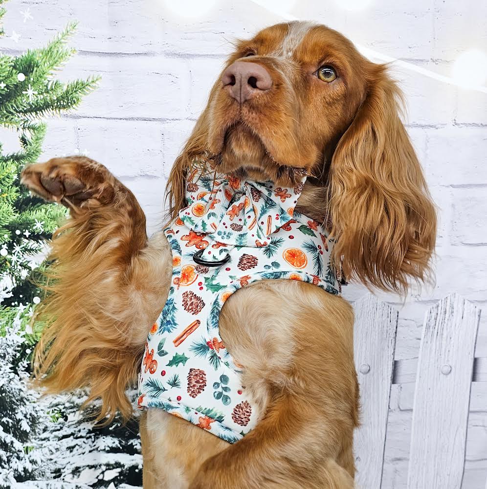 Adjustable Harness - 'Festive Pawpourri'
