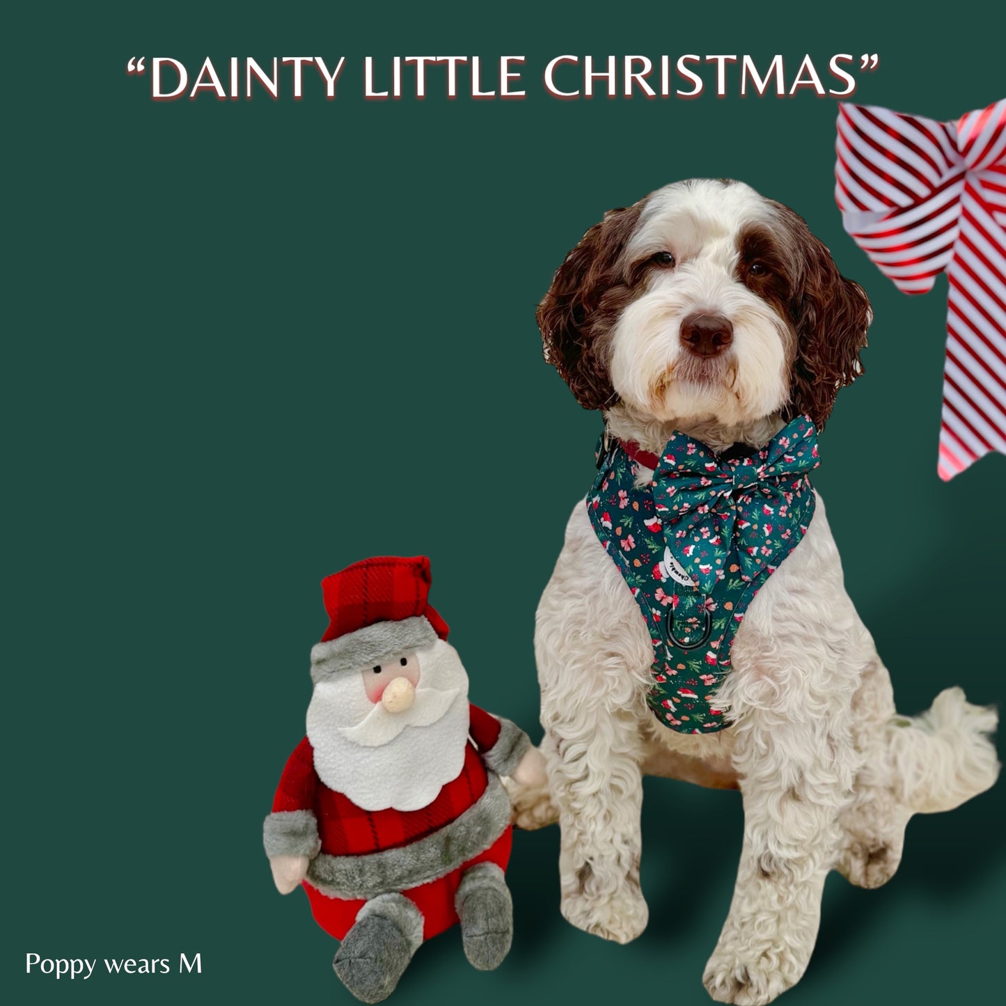 Adjustable Harness - 'Dainty Little Christmas'
