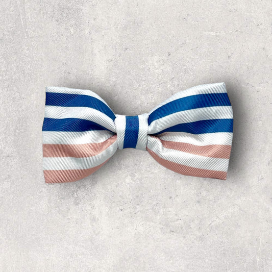 Bow Tie - 'I've Earned My Stripes'