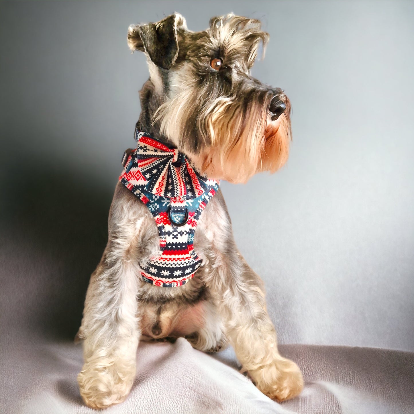 Adjustable Harness - 'Sweater Weather'