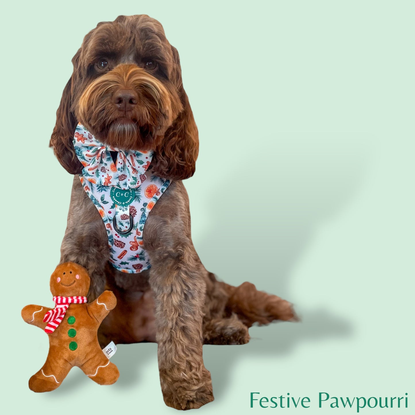 Adjustable Harness - 'Festive Pawpourri'