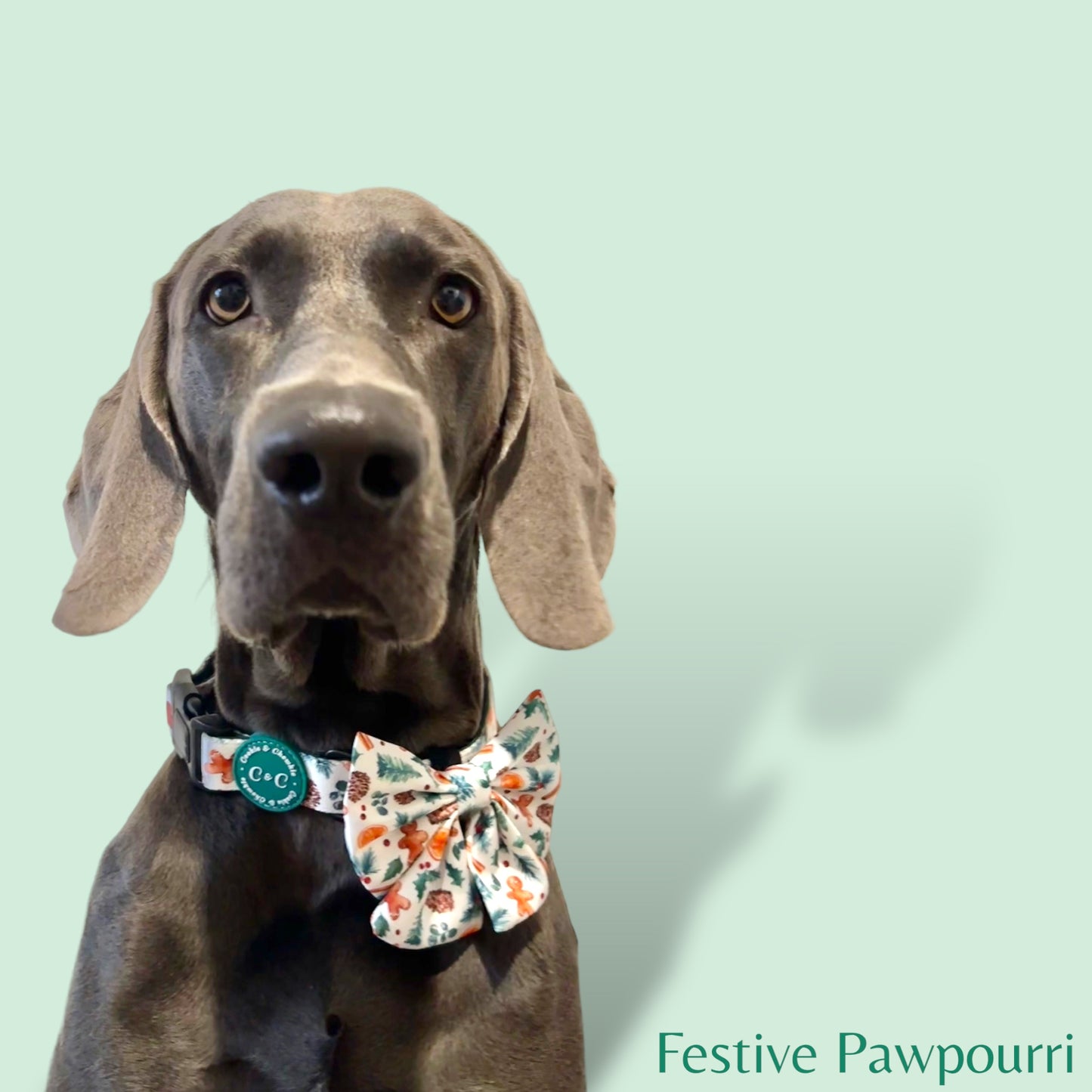 Sailor Bow - 'Festive Pawpourri'