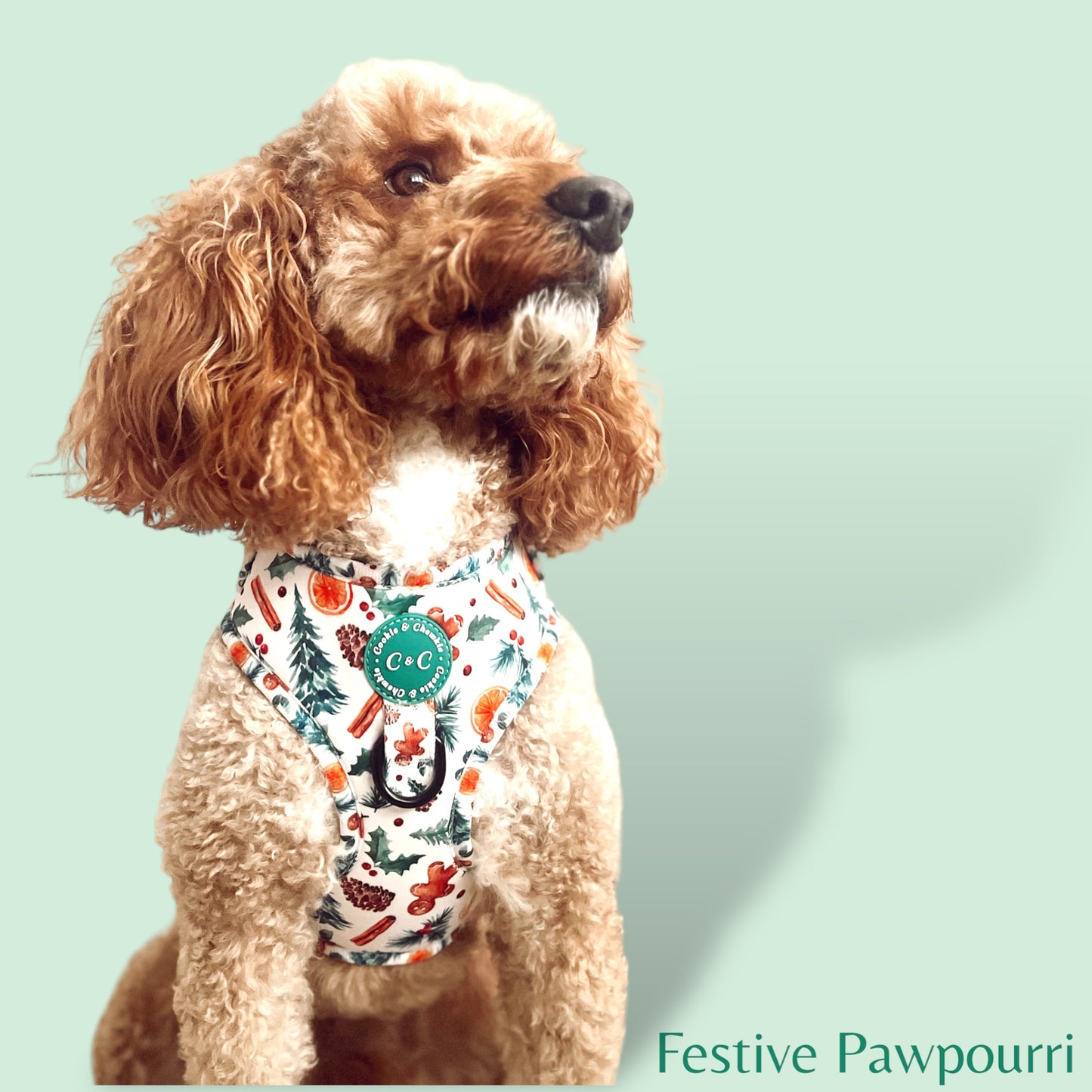 Adjustable Harness - 'Festive Pawpourri'