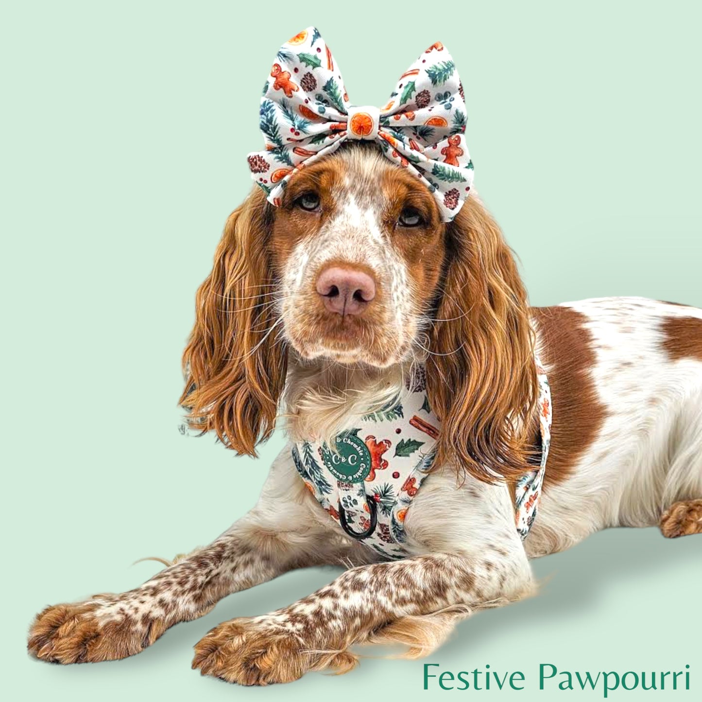 Adjustable Harness - 'Festive Pawpourri'