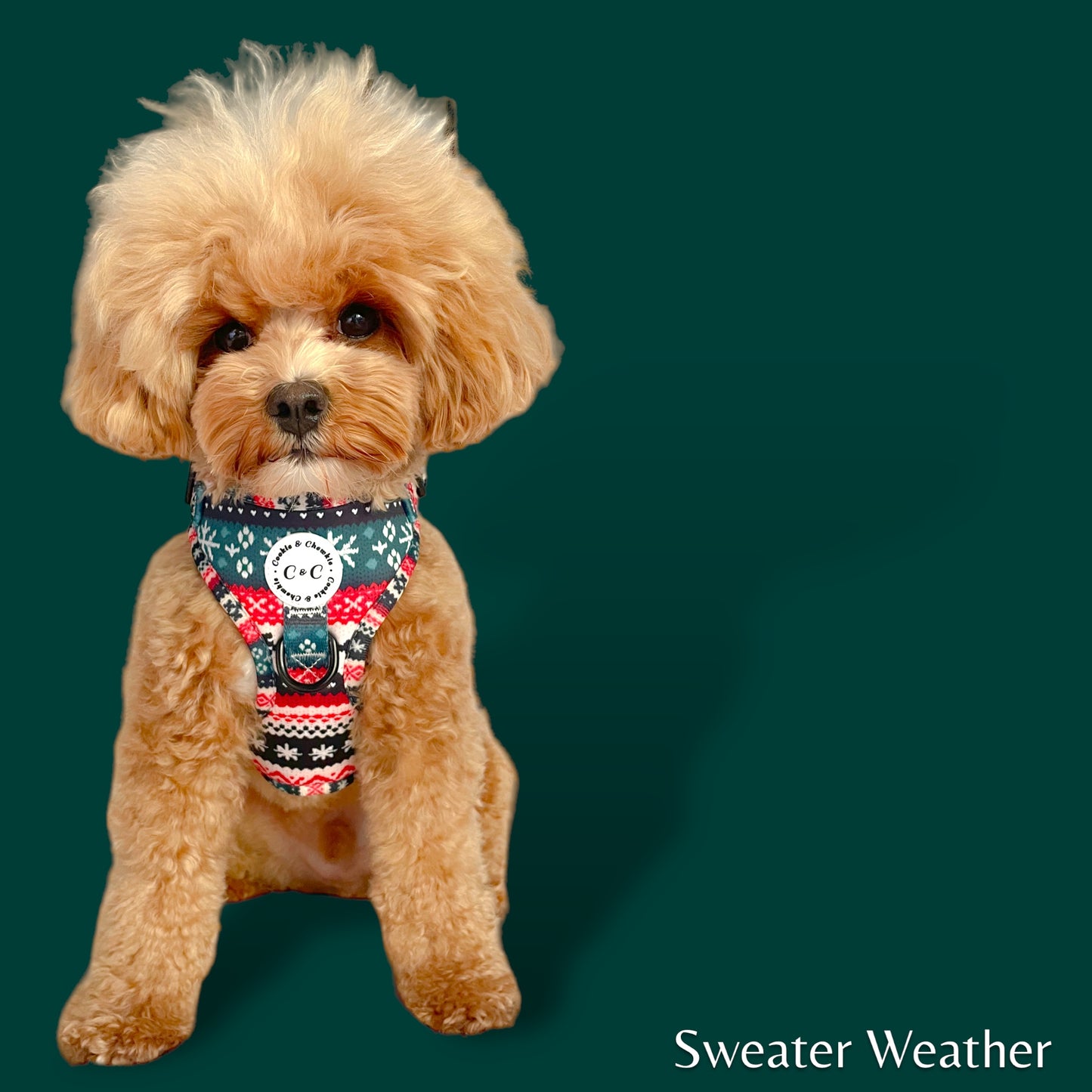 Adjustable Harness - 'Sweater Weather'