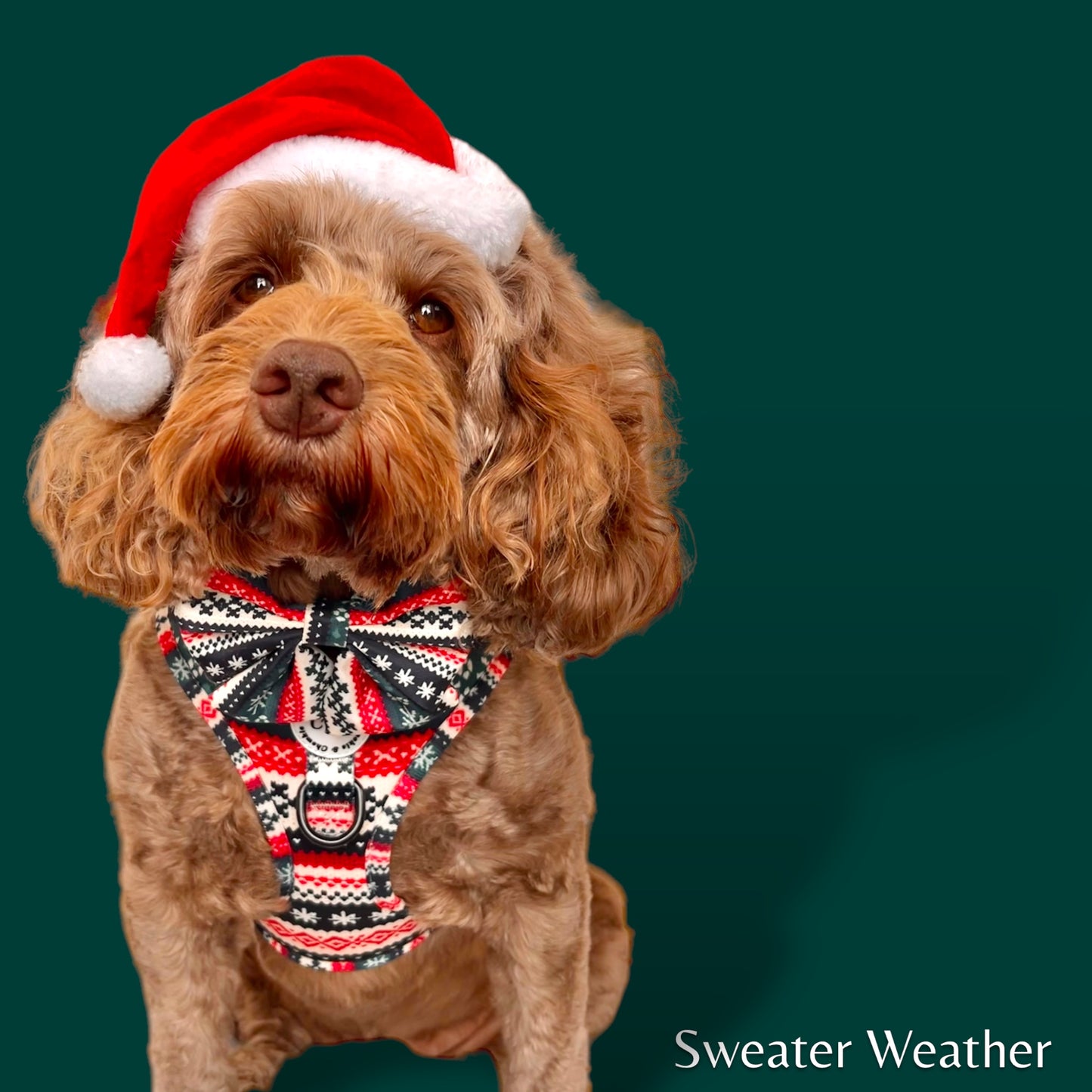 Sailor Bow - 'Sweater Weather'