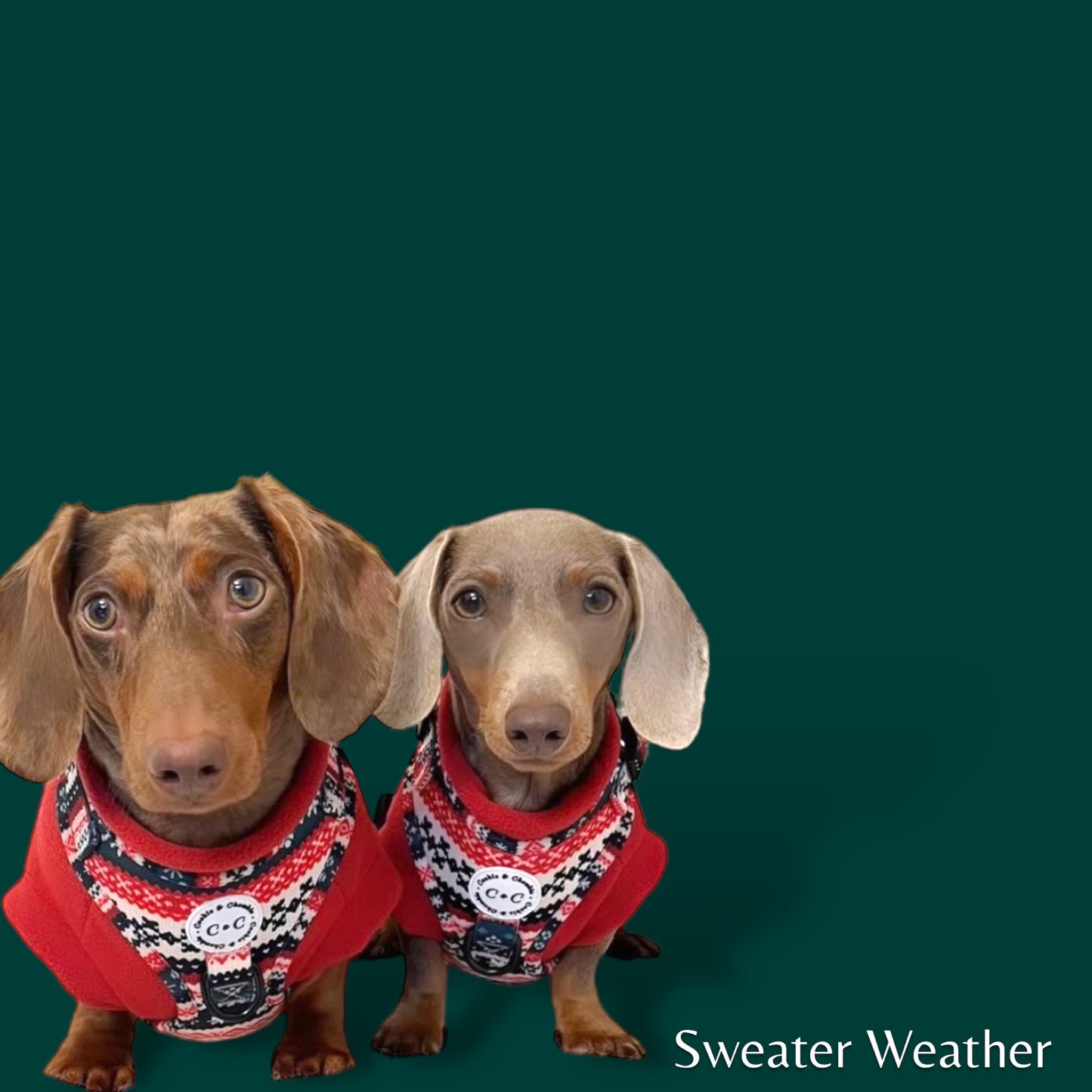 Adjustable Harness - 'Sweater Weather'