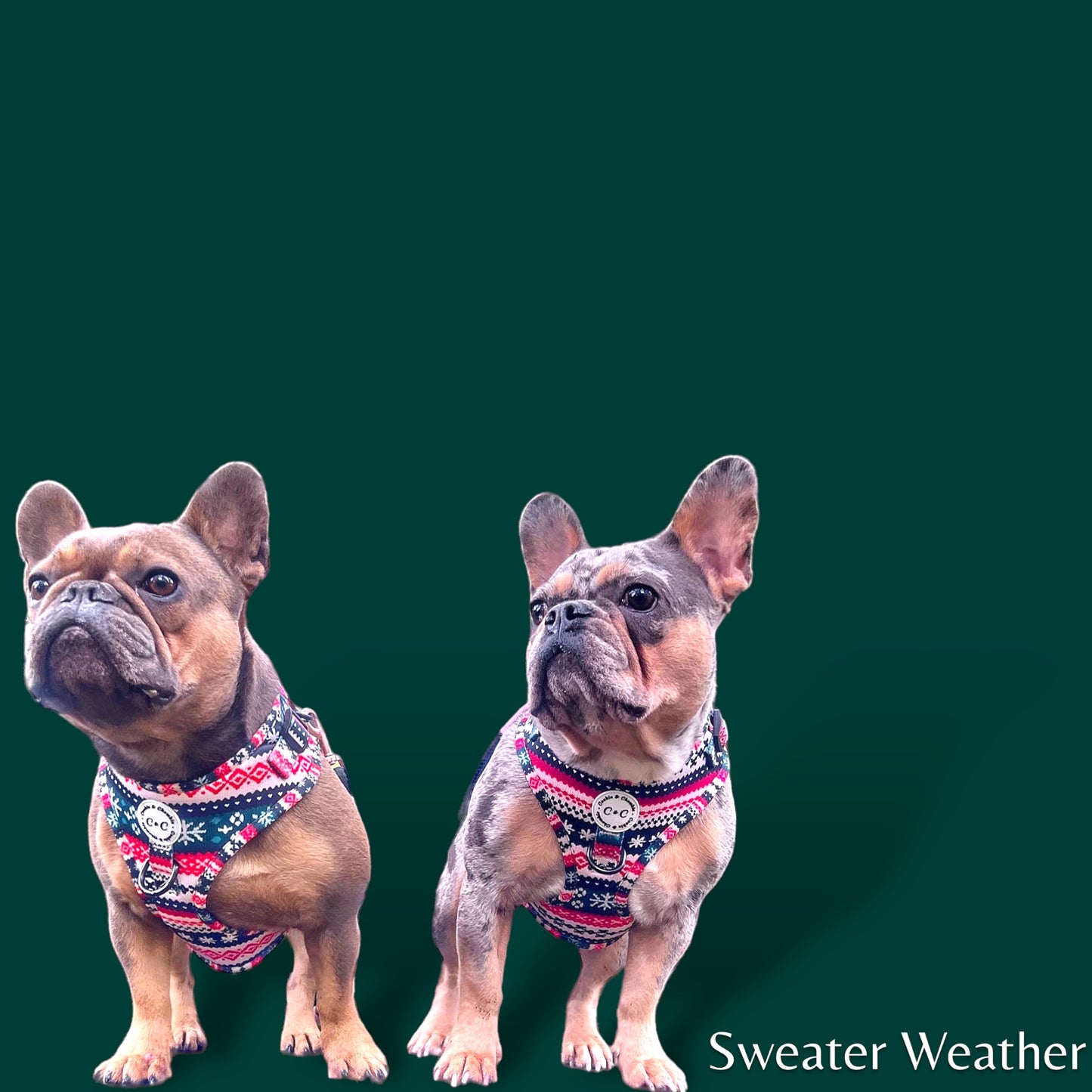Adjustable Harness - 'Sweater Weather'