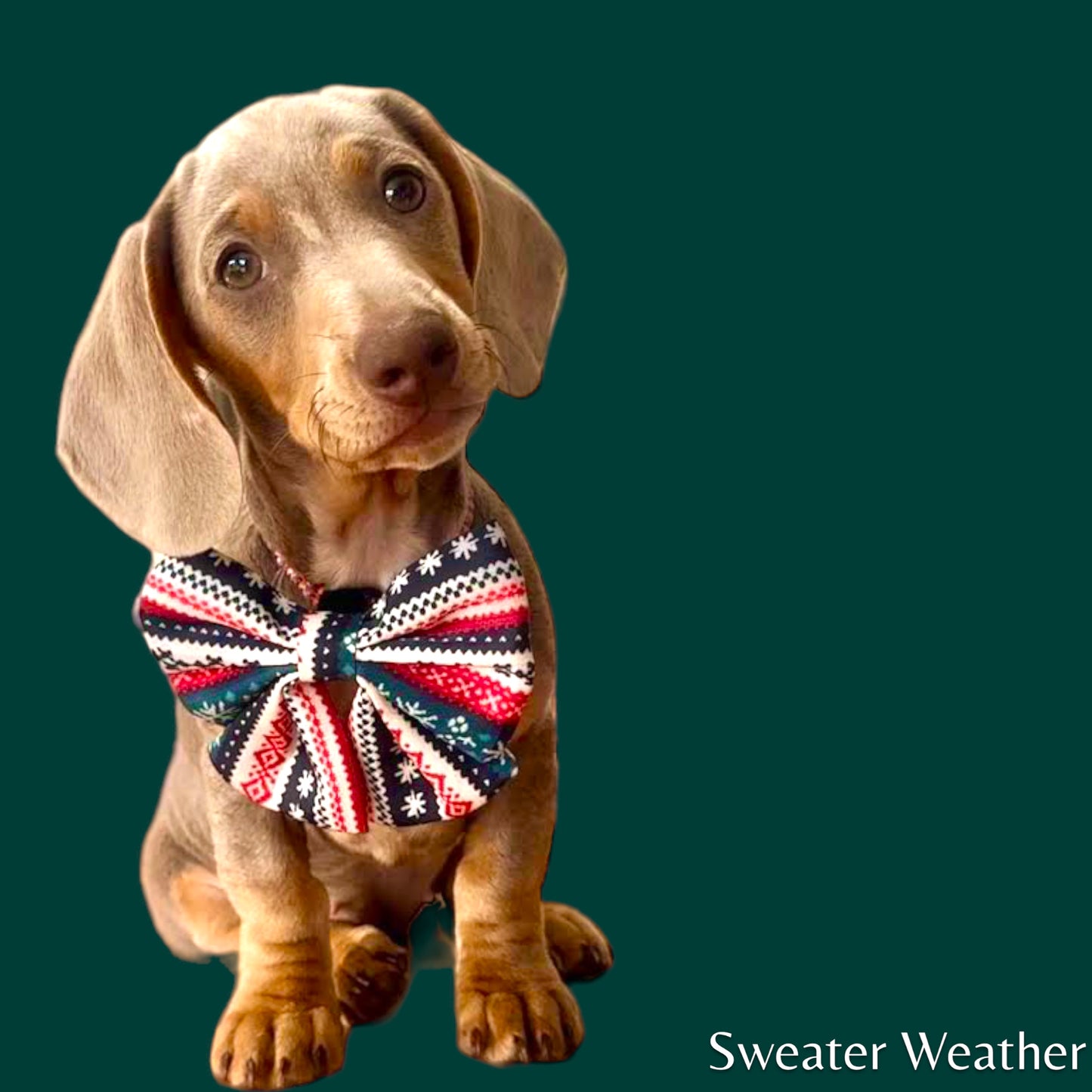 Sailor Bow - 'Sweater Weather'