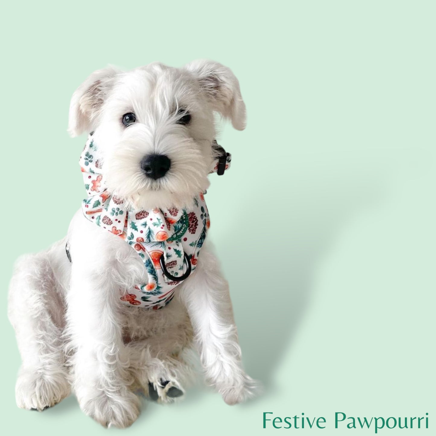 Adjustable Harness - 'Festive Pawpourri'