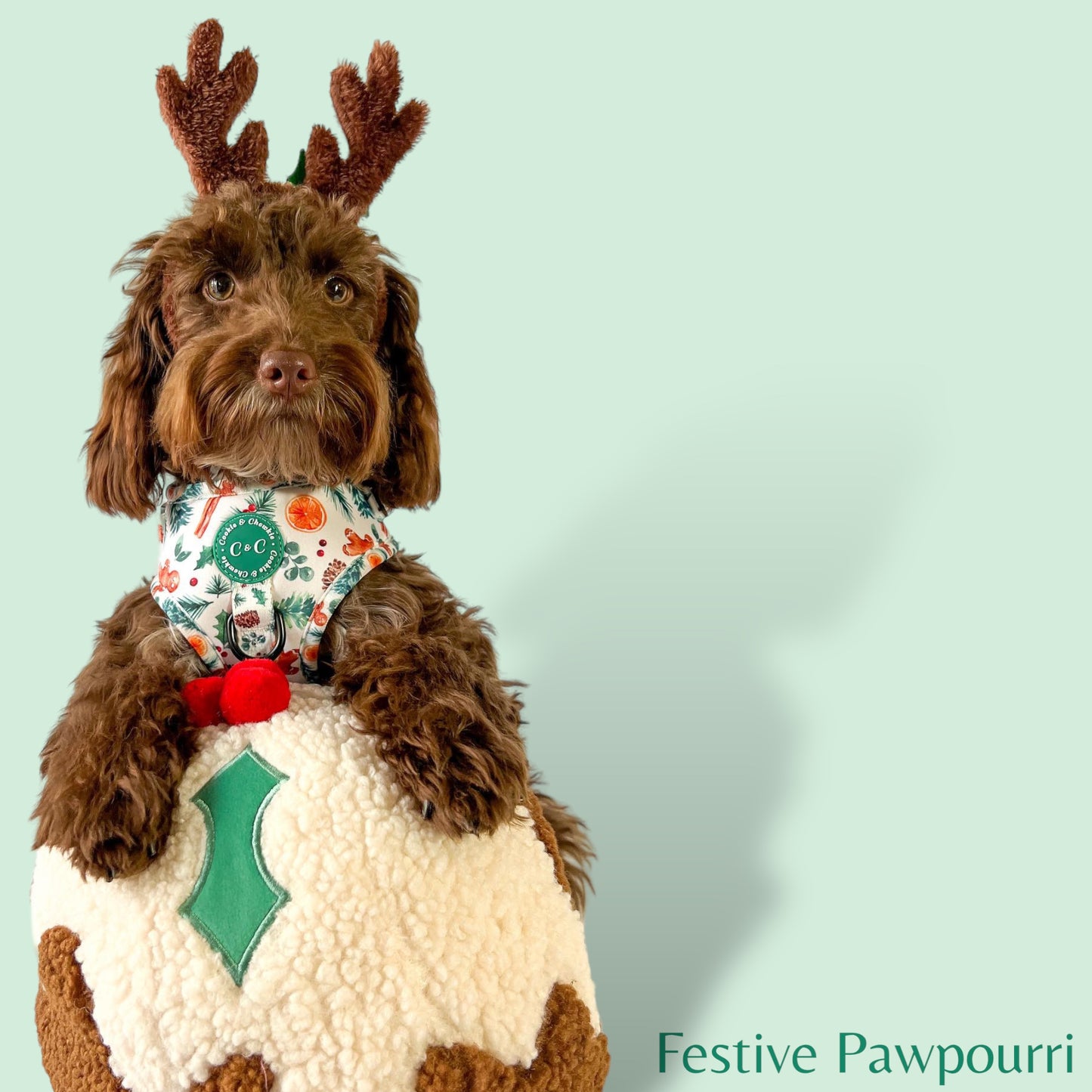 Adjustable Harness - 'Festive Pawpourri'