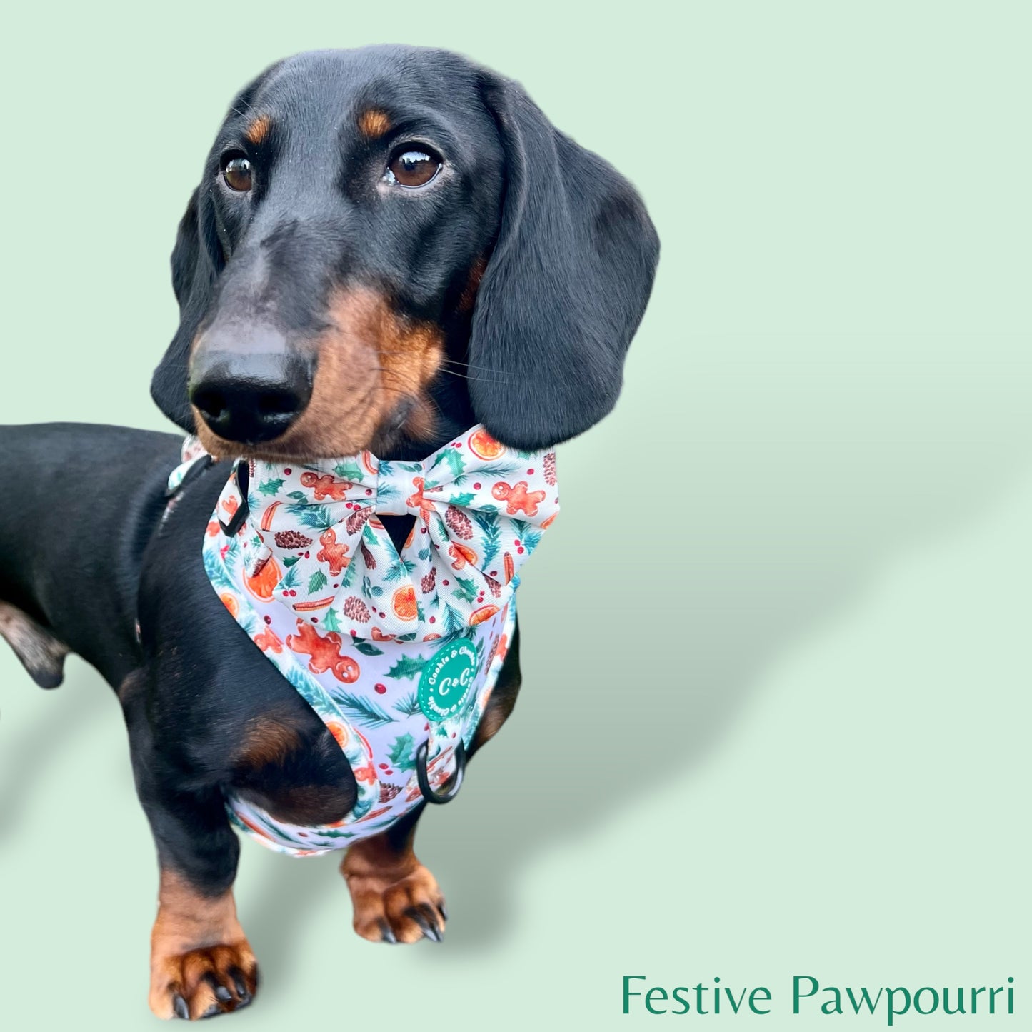 Adjustable Harness - 'Festive Pawpourri'