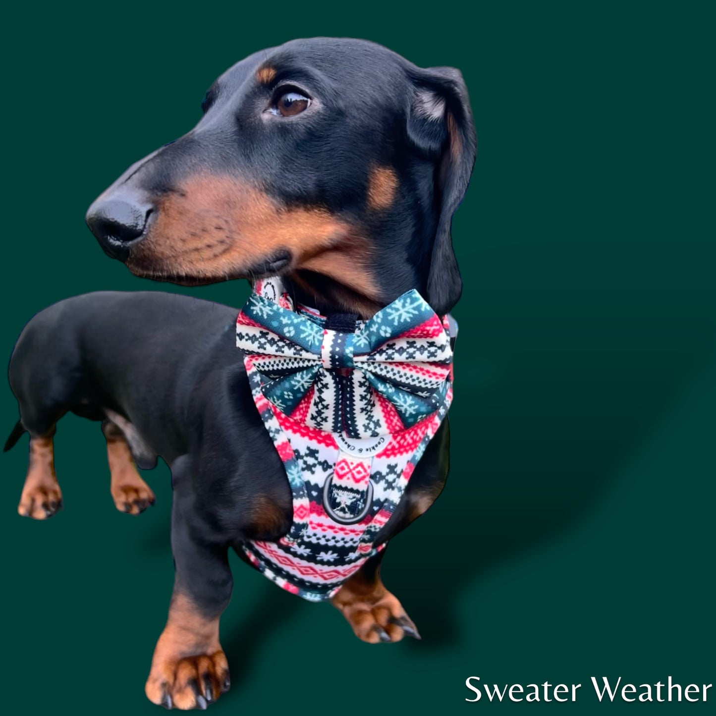 Adjustable Harness - 'Sweater Weather'