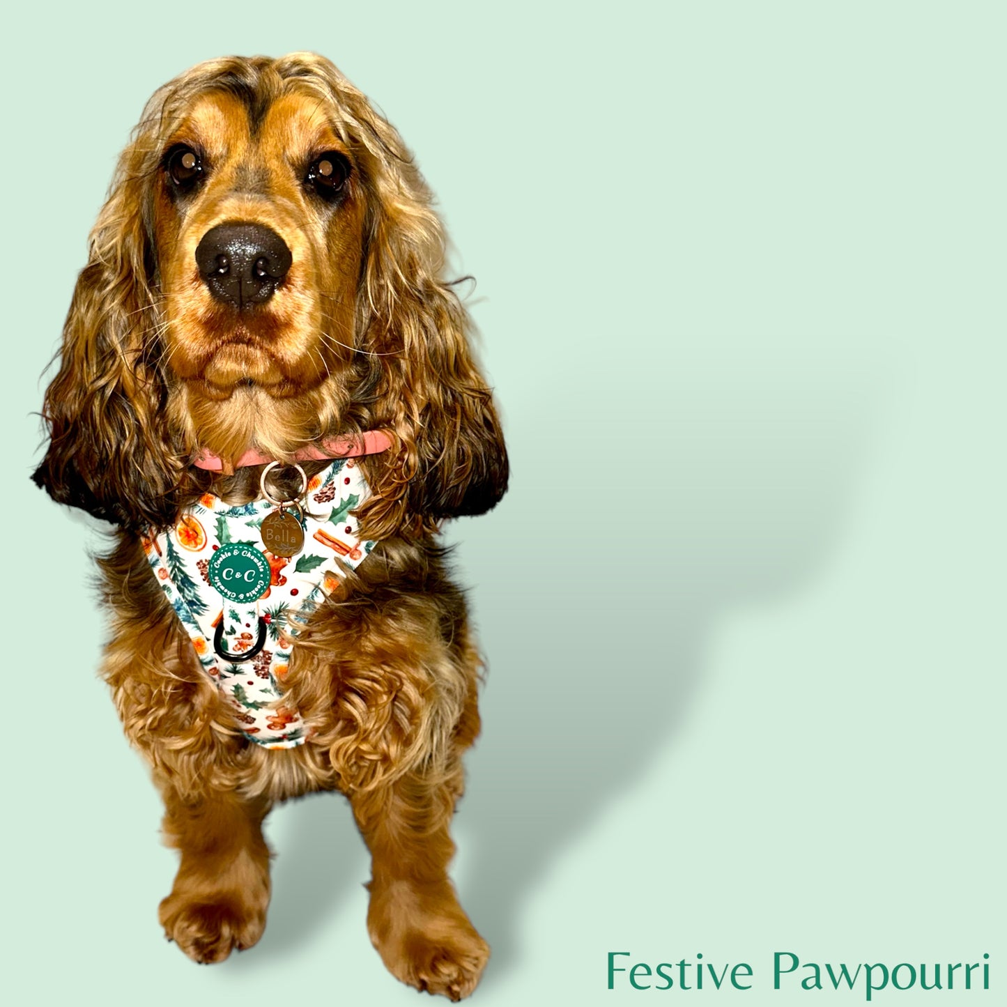 Adjustable Harness - 'Festive Pawpourri'