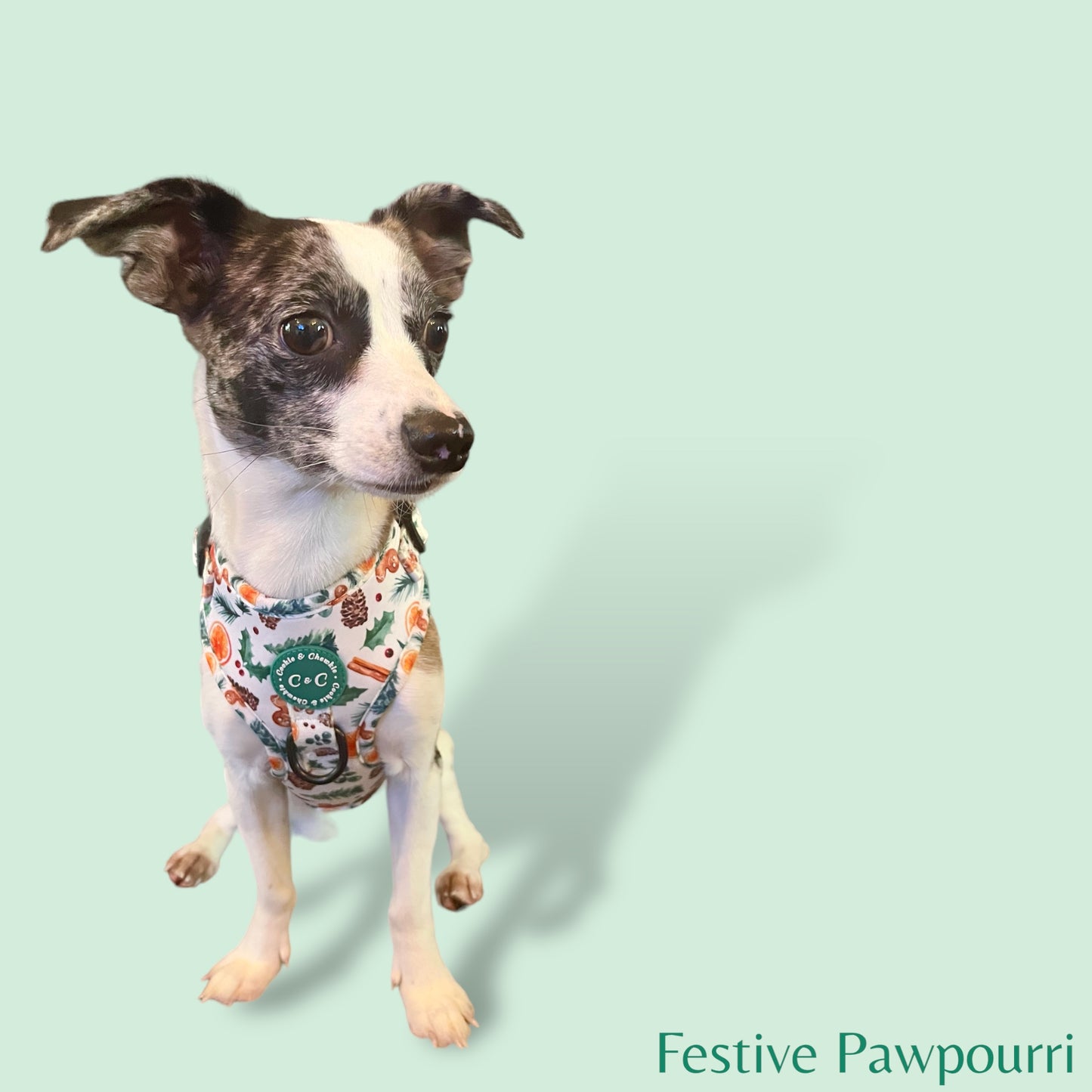 Adjustable Harness - 'Festive Pawpourri'
