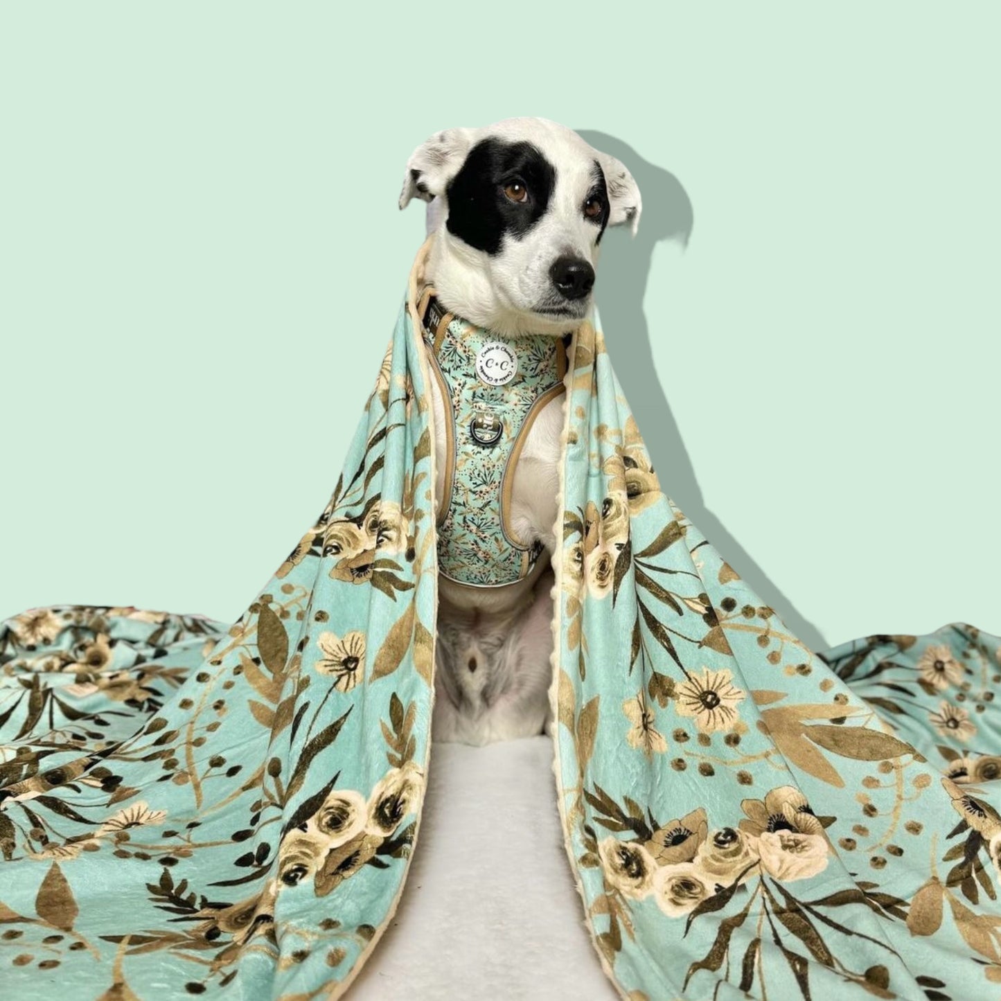 Minky Snuggle Blanket - "Baby, it's Gold outside"