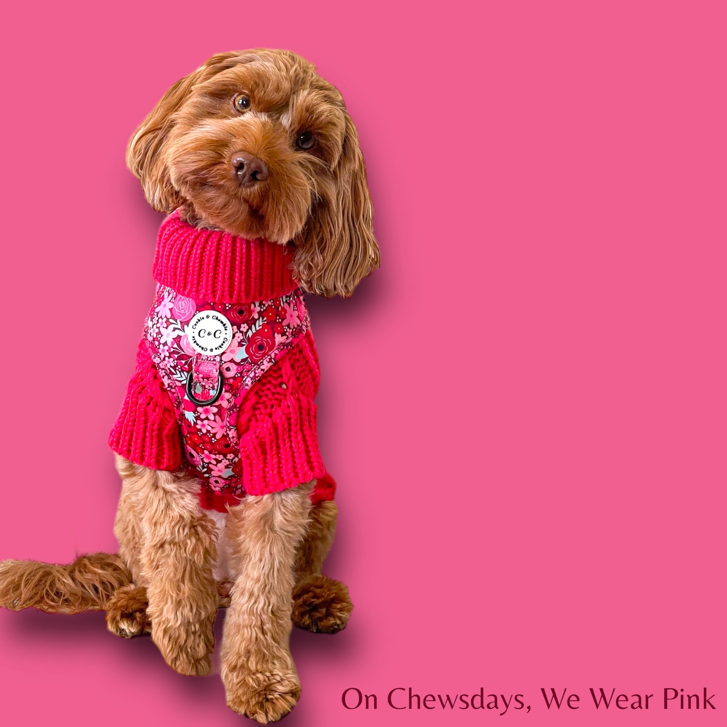 Adjustable Harness - 'On Chewsdays, We Wear Pink'