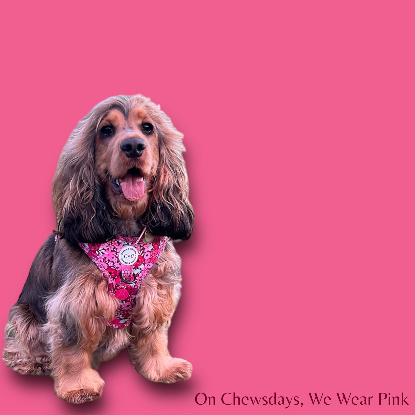 Adjustable Harness - 'On Chewsdays, We Wear Pink'