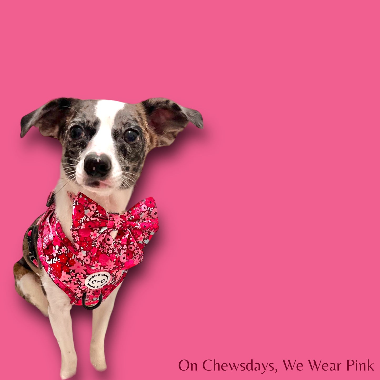Adjustable Harness - 'On Chewsdays, We Wear Pink'