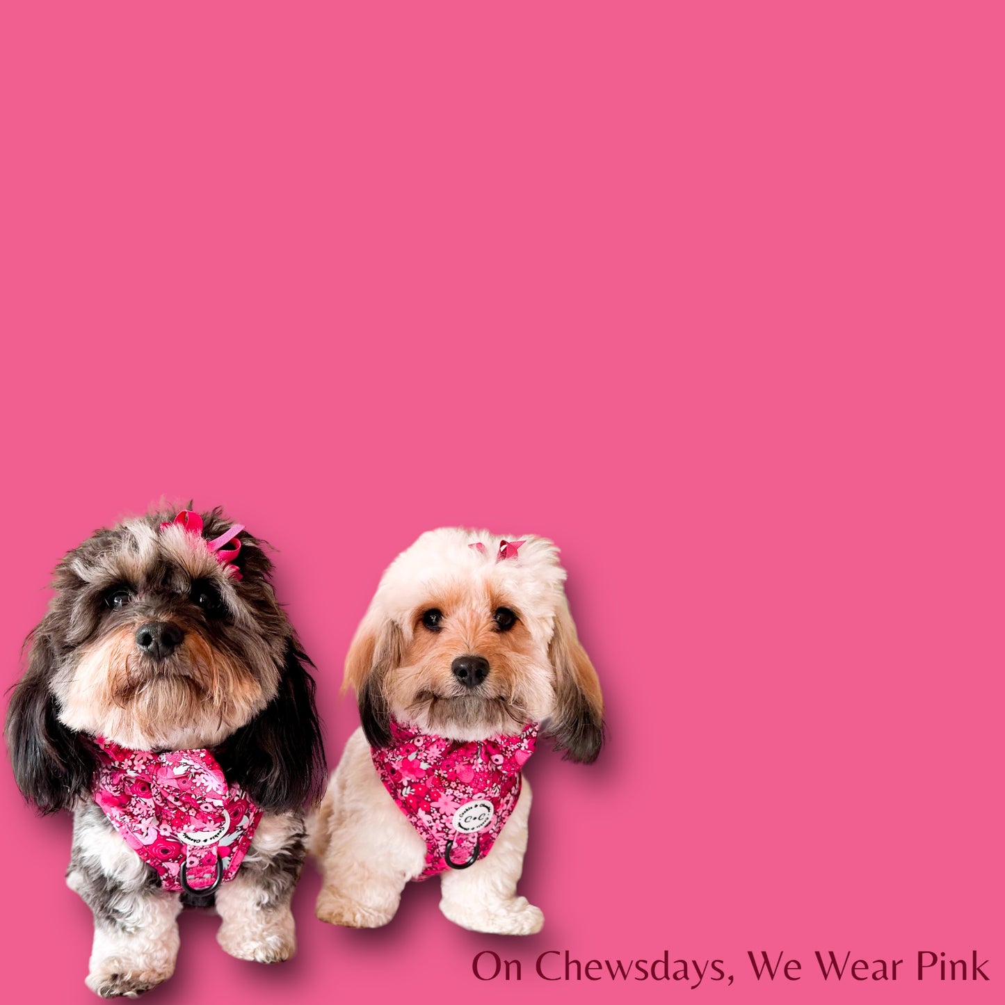 Adjustable Harness - 'On Chewsdays, We Wear Pink'