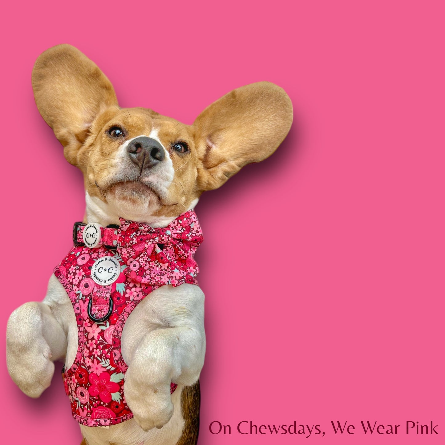 Adjustable Harness - 'On Chewsdays, We Wear Pink'