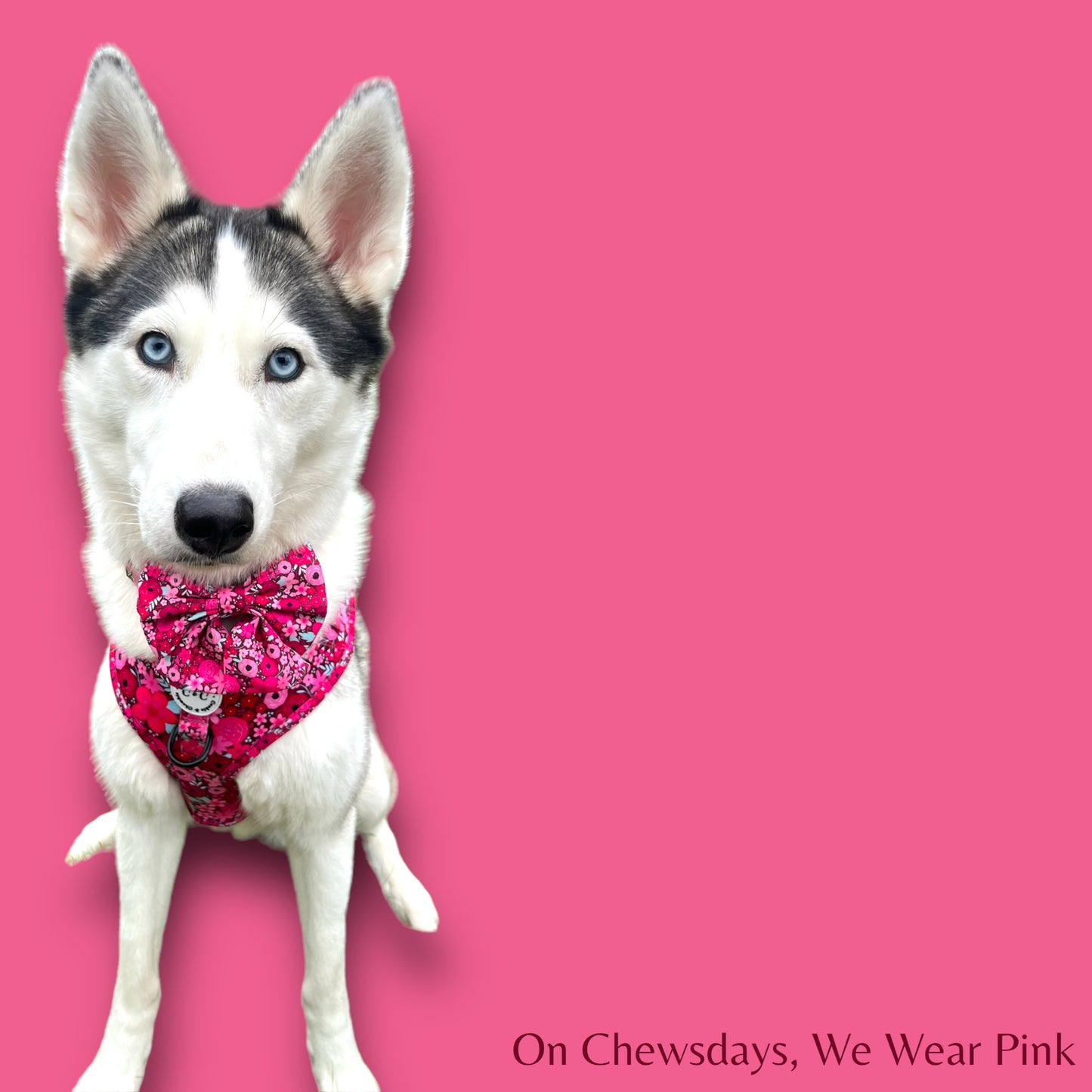 Adjustable Harness - 'On Chewsdays, We Wear Pink'